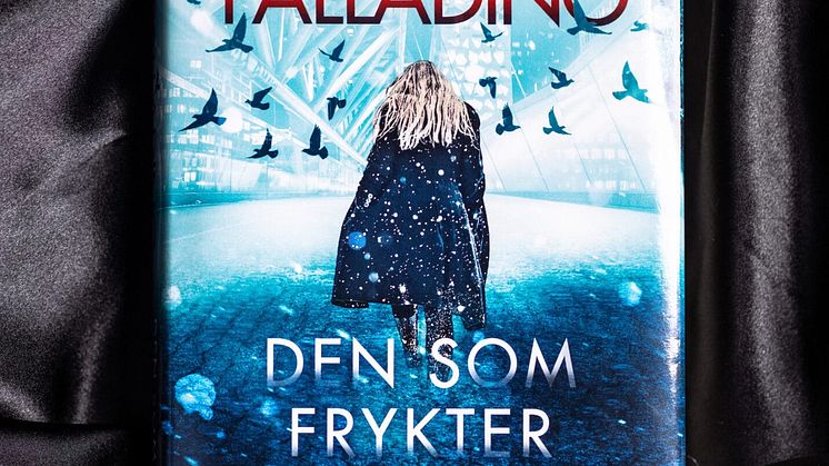 Den-som-frykter-snoen01_BT-1431x1920