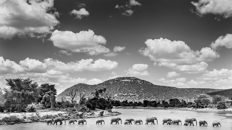 Påminnelse: Konstfoto speglar Afrikas själ