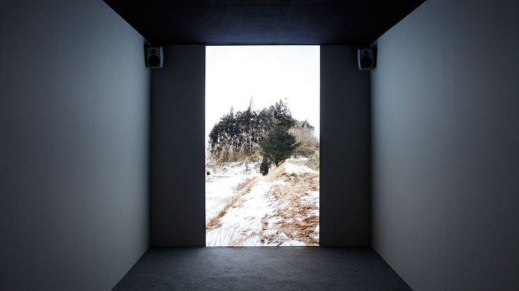 Jacob Kirkegaard, Stigma, 2014, Fukushima 