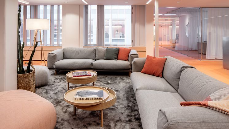 Dreem Arkitekter 