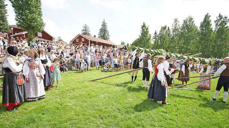 Resning av stången vid midsommarfirande på Stenegård. Ett av många arrangemang av Järvsö Hembygdsförening.