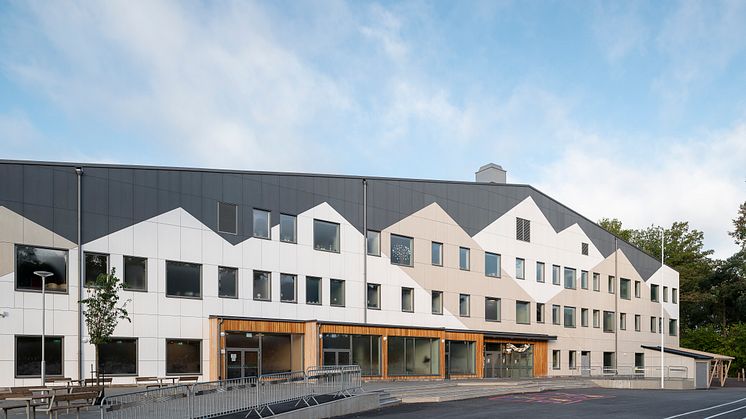 Långsjöskolan fasadmönster