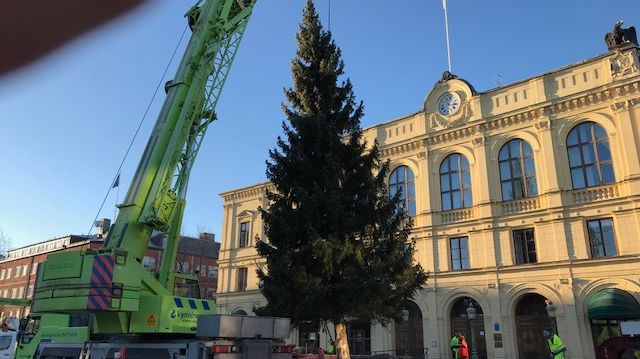 Bild från när 2018 års gran sattes upp på Stora torget i Karlstad.