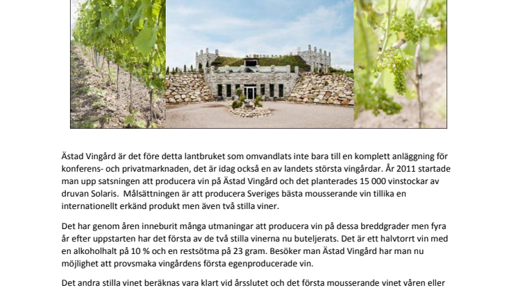 Nu har Ästad Vingård i Halland buteljerat sitt första egna vin!
