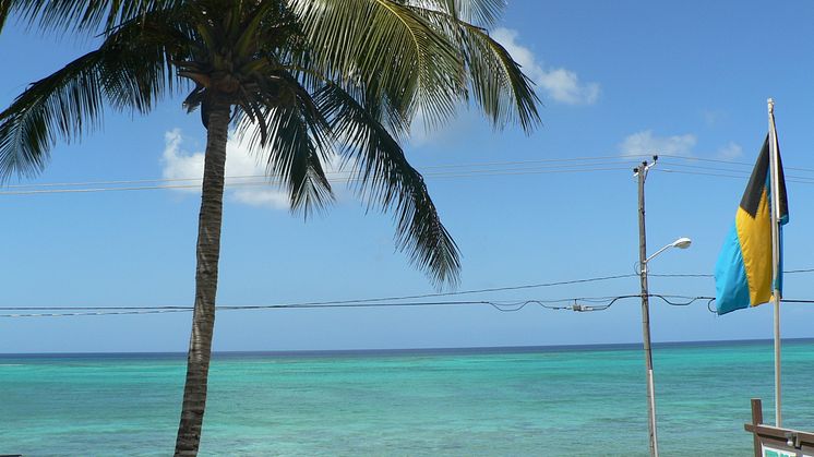 Nassau View from the Terrace. Photo: John Barlow