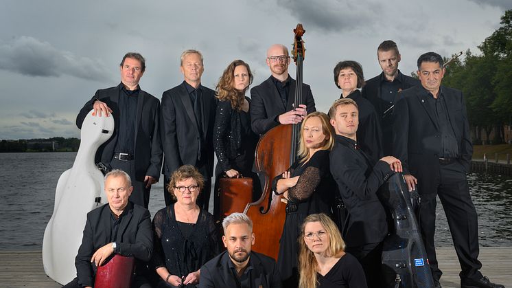 Musica Vitae