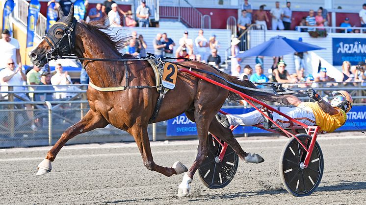 Alessandro Gocciadoros italienske stjärna Vernissage Grif är klar för Elitloppet 2022. Foto: TR Bild