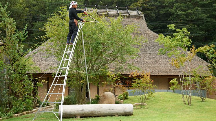 Japansk stege är Årets Trädgårdsprodukt 2018. Foto: ARS - Nakaya Scandinavia AB