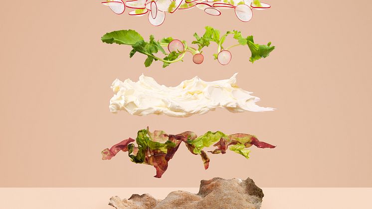 Sjögräsknäcke - Carl Kleiner