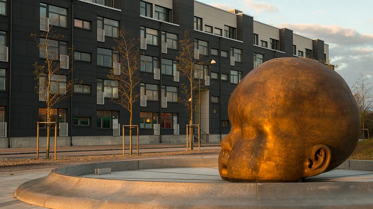&child  kommer att "koka kaffe" när vattnet är på plats.  Foto Lars Bendroth