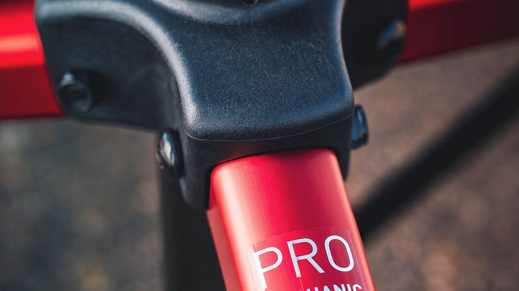 Feedback Sports Pro Mechanic