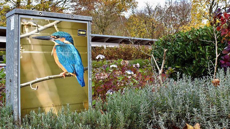 Bostadsrättsföreningen Kvarnparken 1 i Kävlinge har smyckat  sina elskåp med vackra fåglar med lokal anknytning. 