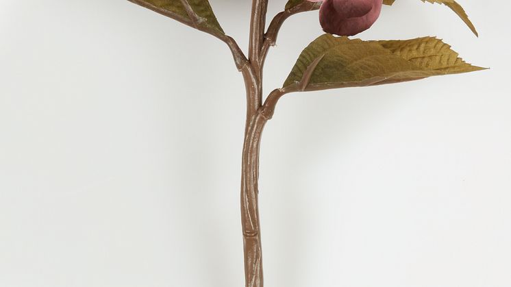 STIAN_Freisteller