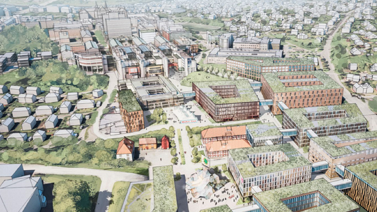 Forslag til fortetning av Campus NTNU - Trondheim med omfattende bruk av grønne tak. Illustrasjon: Eggen Arkitekter