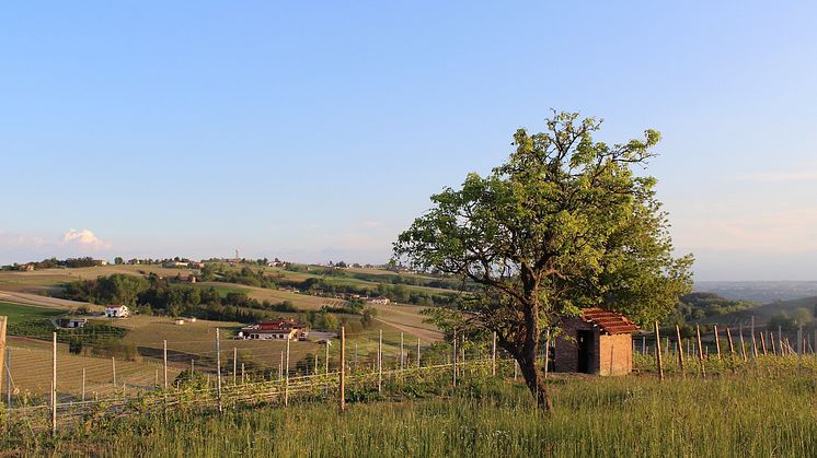 gdvajra-bricco-delle-viole-lr