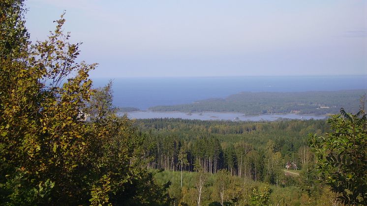 Nyhet! Kom i ”Retur” till Kinnekulle 28-29/9