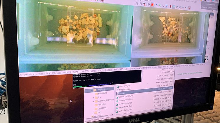 Lobster Farm Monitoring