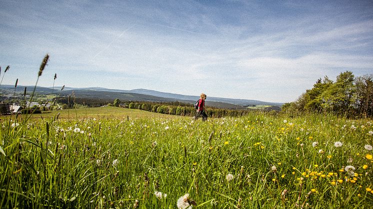 Wandern im Erzgebirge 