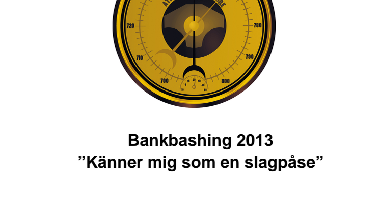 Rapport bankbashing 2013
