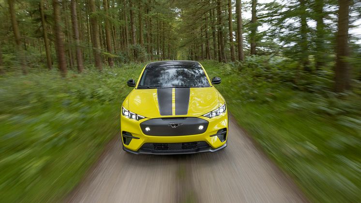 2023 FORD MACH-E RALLY  (5)