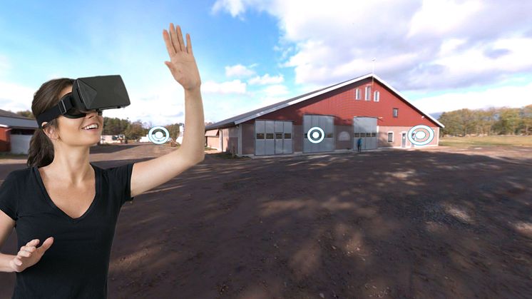 vr glasses