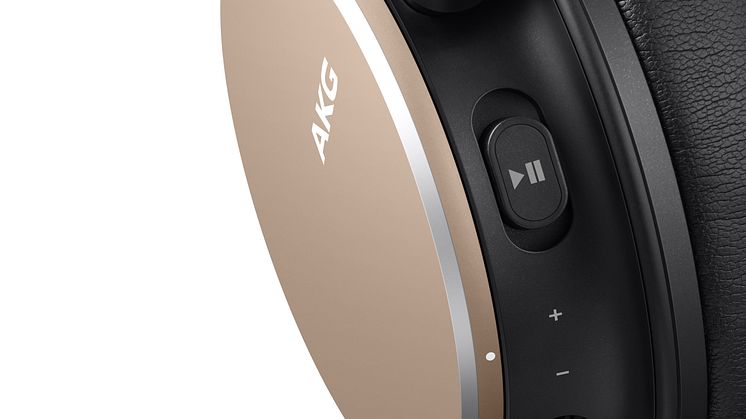 AKG Y600_Detail3_Gold
