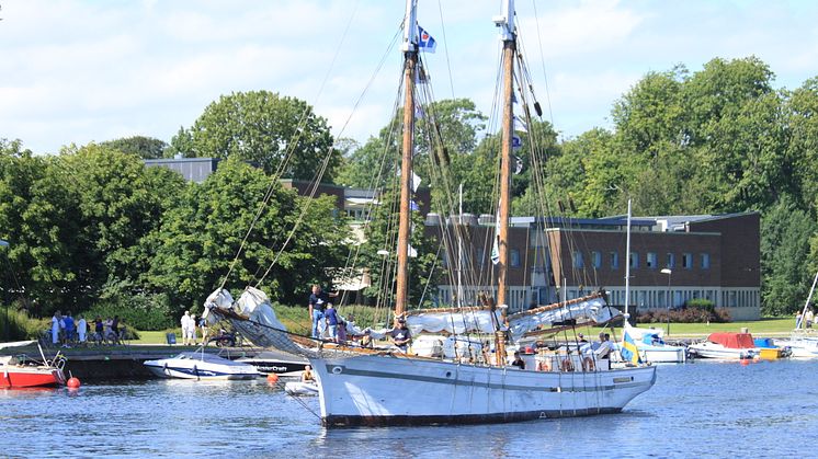 Skepp under The Tall Ships Races. Fotograf: Erica Lundberg DHAB