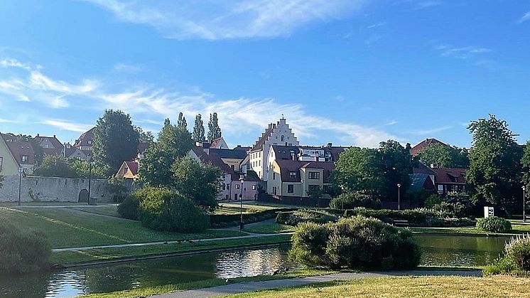 Vattenlunch i Almedalen lyfter den akuta försörjningsfrågan 