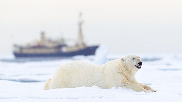 Foto: Getty Images