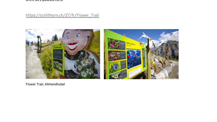 Allmendhubel - Flower Trail