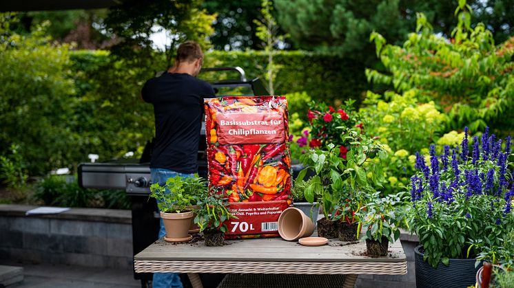 Neues Universal Chili-Substrat von Floragard für die Aussaat und Weiterkultur von Chilipflanzen in Gartenbau-Qualität.
