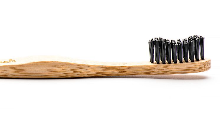 Humble Brush 10