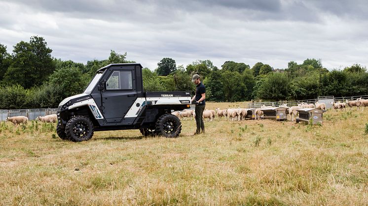 Terrain EX4 (15)