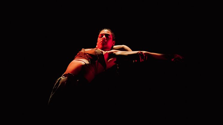 Company Nicolas Huchard - The barefoot diva
