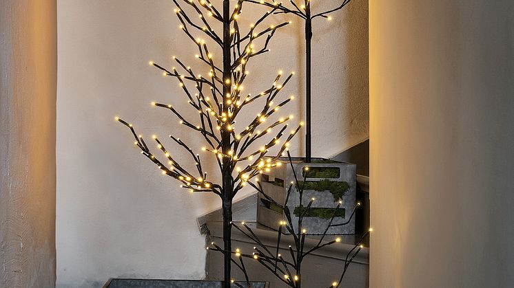 Rusta_2023_S4_Lighttree-1-I