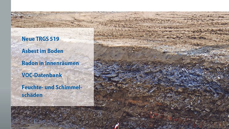 Gebäudeschadstoffe und Innenraumluft, Band 10 (tif/2D)