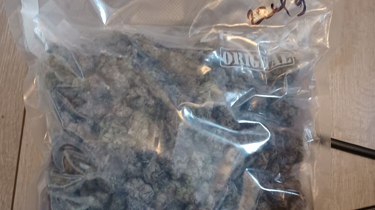 Image 2 of Cannabis Found at 29 Dormers Rise