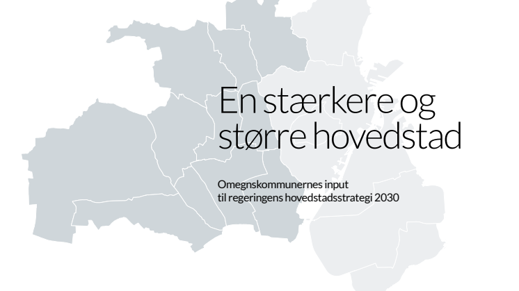 De 11 kommuners udspil