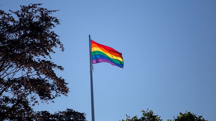 Malmö stad intensifierar arbetet med att hbtq-certifiera sina verksamheter.    Foto: Per Pettersson