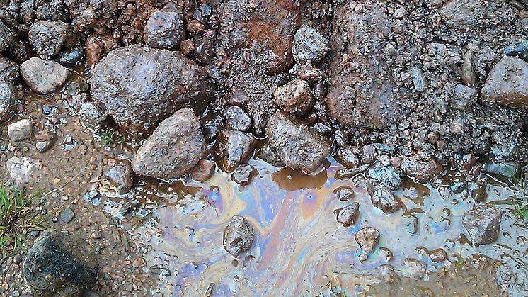 Naturligt organiskt material kan misstas för oljeförorening