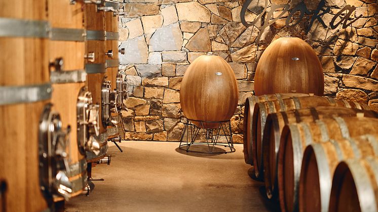 Marjan SIMCIC cellar (2)