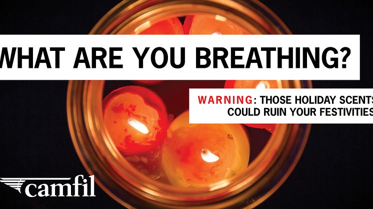 Give the Gift of Clean Air! Simple tricks to keep your indoor air quality high this holiday season