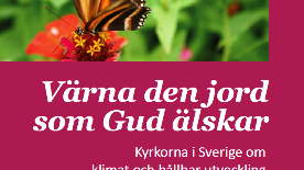 Kyrkorna uppmärksammar klimatfrågan genom ny skrift och seminarium
