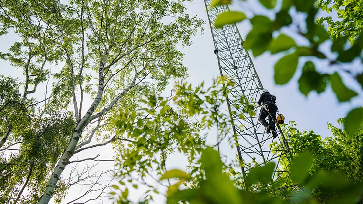 Telenor mast og tekniker