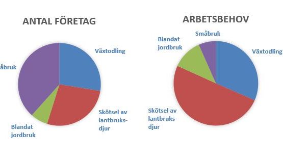 Diagram antal företag samt arbetsbehov