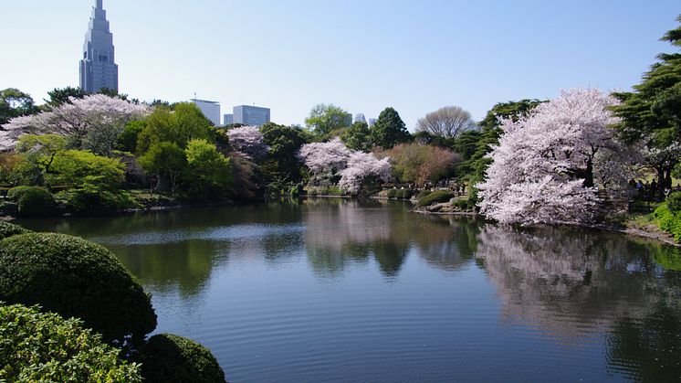 tokyo-4.jpg