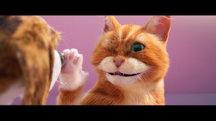 Tierisch gute Wahl: TV-Spot zum Darmkrebsmonat März 2024