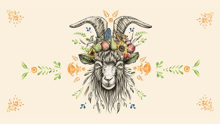 Mikaeli_marknad_2023_illustration_Julia_Szulc_press