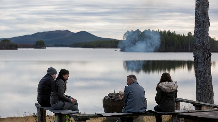Arctic Camp Jokkmokk är campingplatsen som är ett med skogen och älven. Foto: Maria Klang