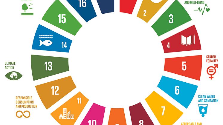 All SDGs are relevant to us as a company and to the investments that we make in order to create sustainable businesses. At the same time, some of the goals are more prominent than others in our business.